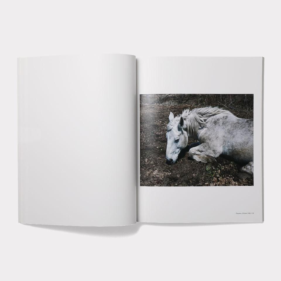 写真集　シャルロット　デュマ　Work Horse 写真集 シャルロット デュマ Work Horse Charlotte Dumas: Work