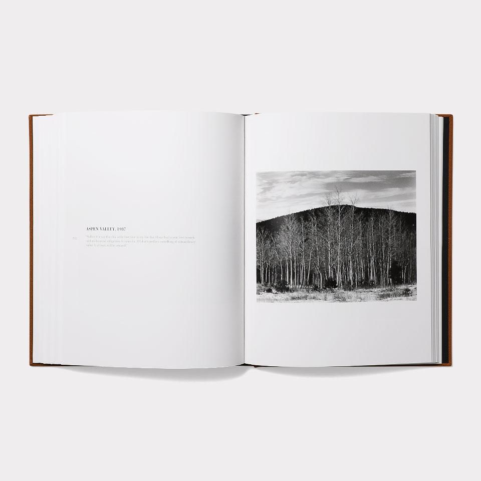 Edward Weston - BOOK AND SONS オンラインストア