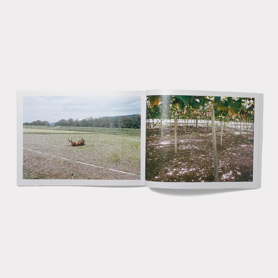 SUMMER NIGHTS, WALKING 改訂版 173925401_o4.jpg?