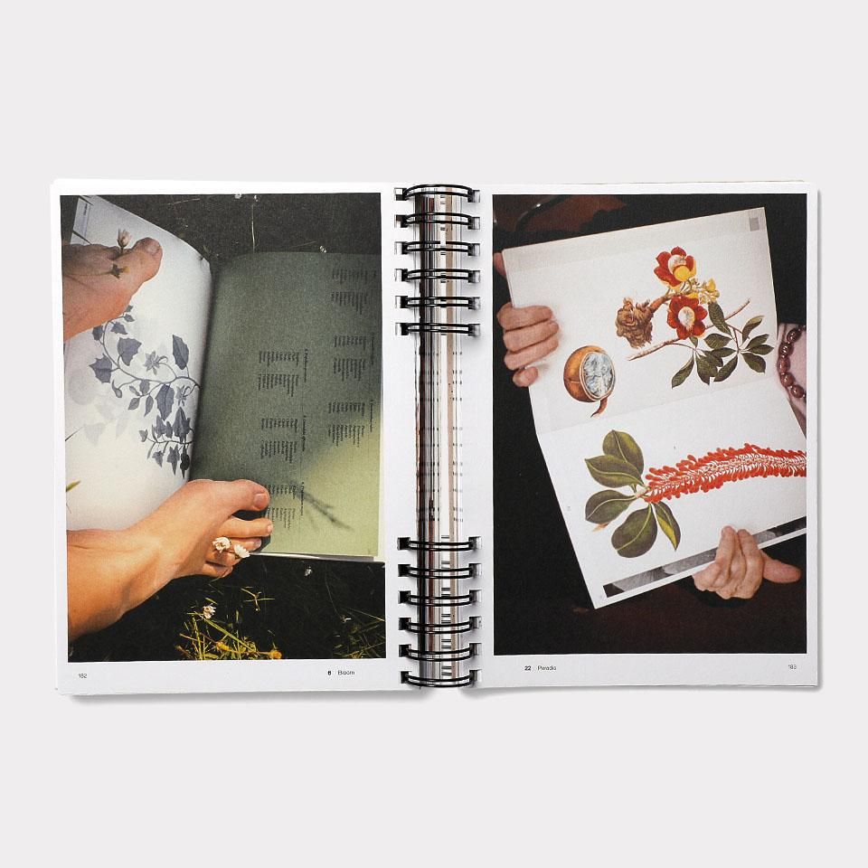 【希少品】『DASHBOARDS』David Holland PHAIDON洋書 希少品】『DASHBOARDS』David Holland PHAIDON洋書 希少品