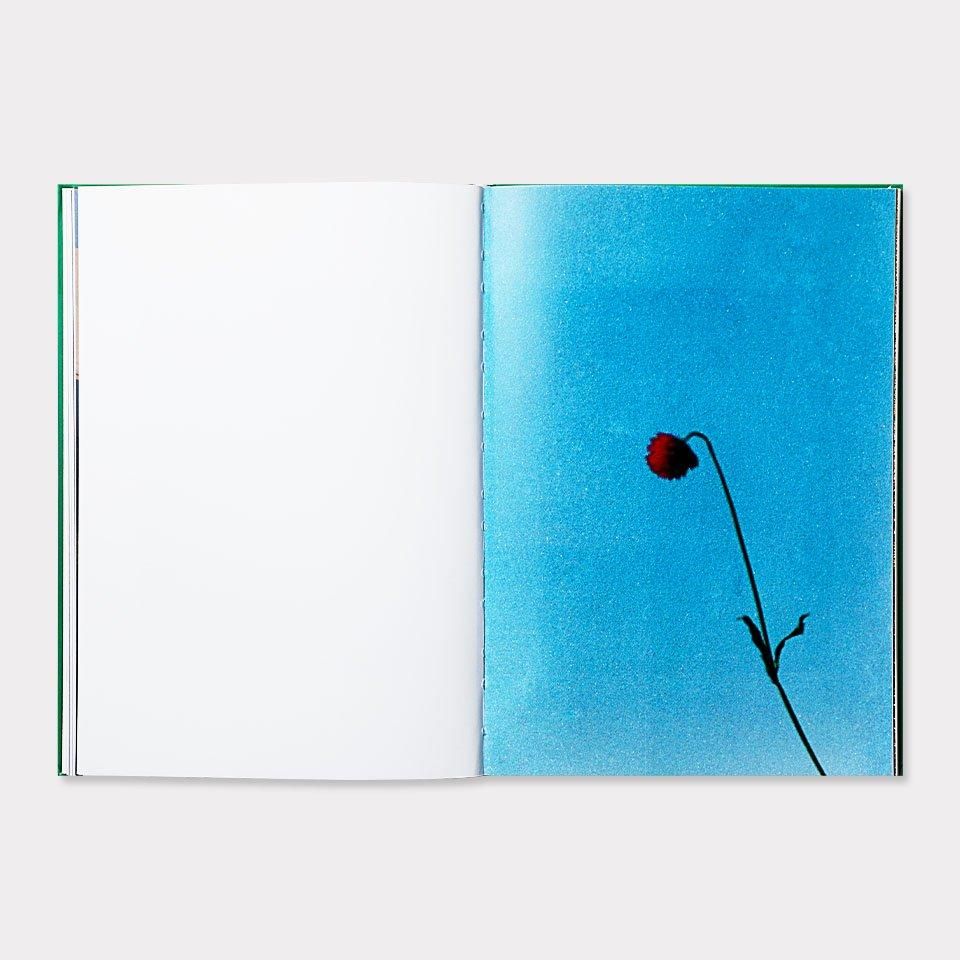 STILLS - BOOK AND SONS オンラインストア