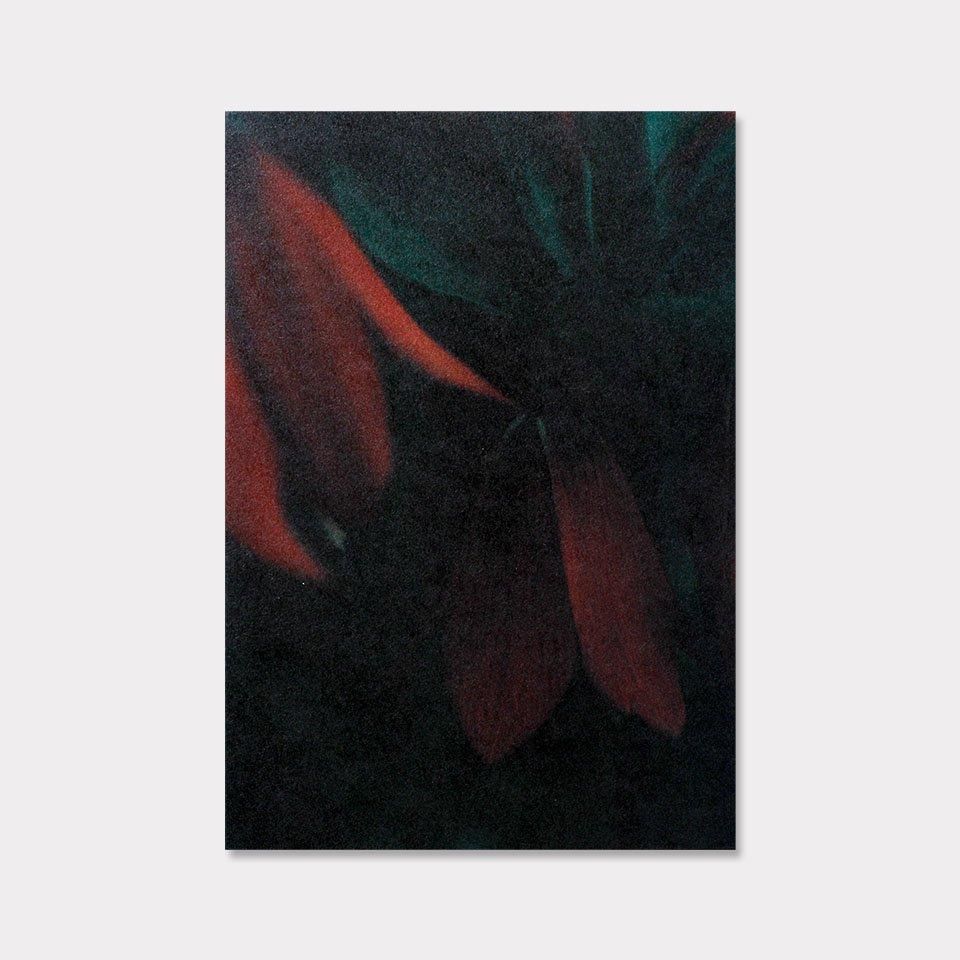 LALE - BOOK AND SONS オンラインストア