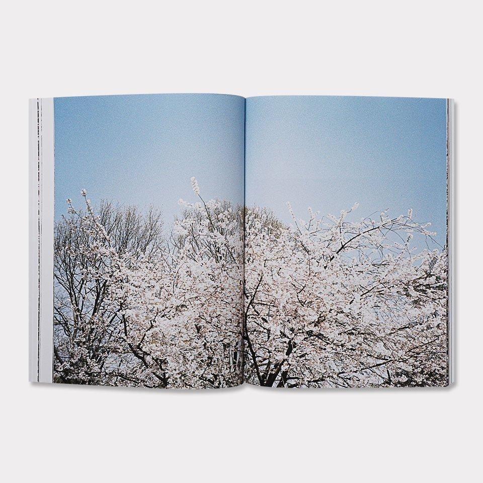 CONEY ISLAND - BOOK AND SONS オンラインストア