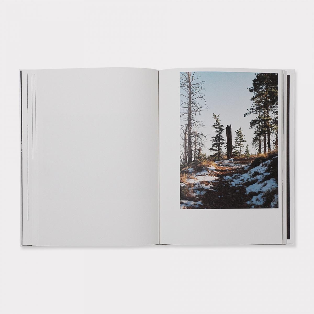 41247 - BOOK AND SONS オンラインストア