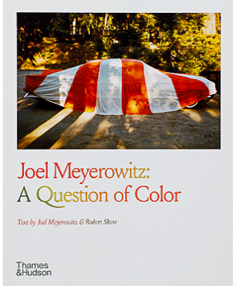 Joel Meyerowitz: A Question of Color