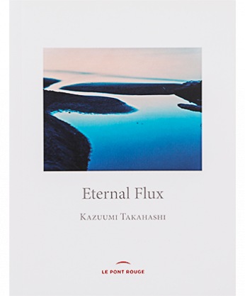 Eternal Flux