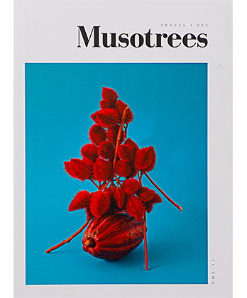 Musotrees Vol. 11 : Special Issue