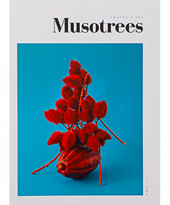 Musotrees Vol. 11 : Special Issue
