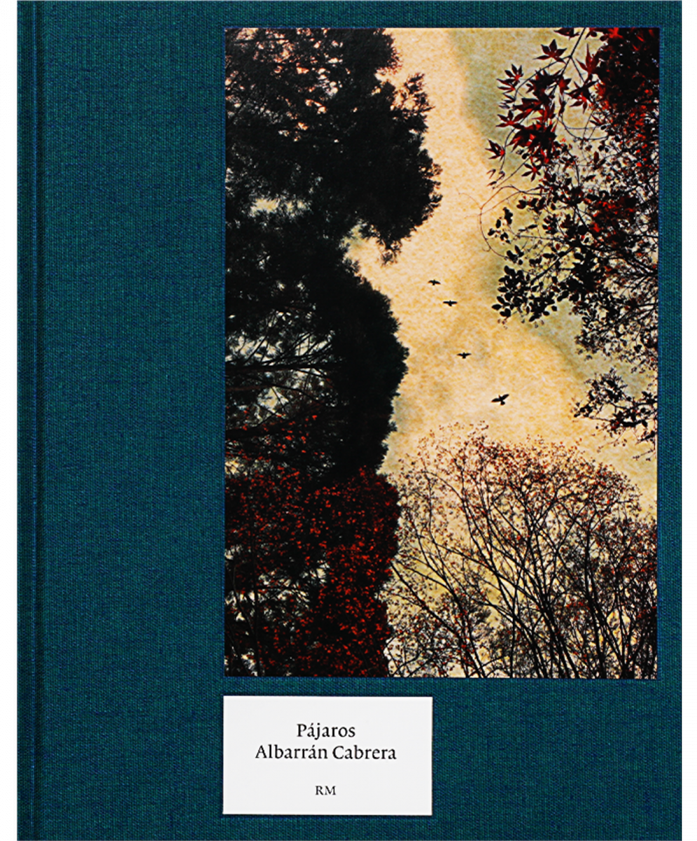 P&#225;jaros/Albarr&#225;n Cabrera