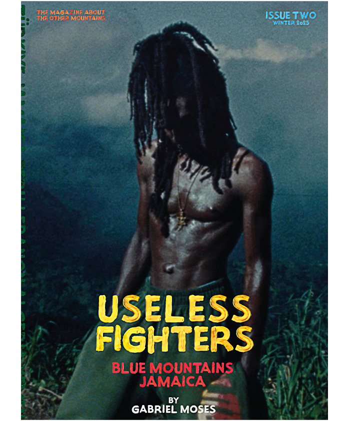 USELESS FIGHTERS issue#2