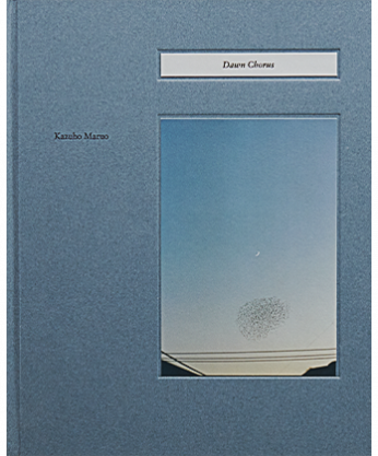 【予約販売】Dawn Chorus