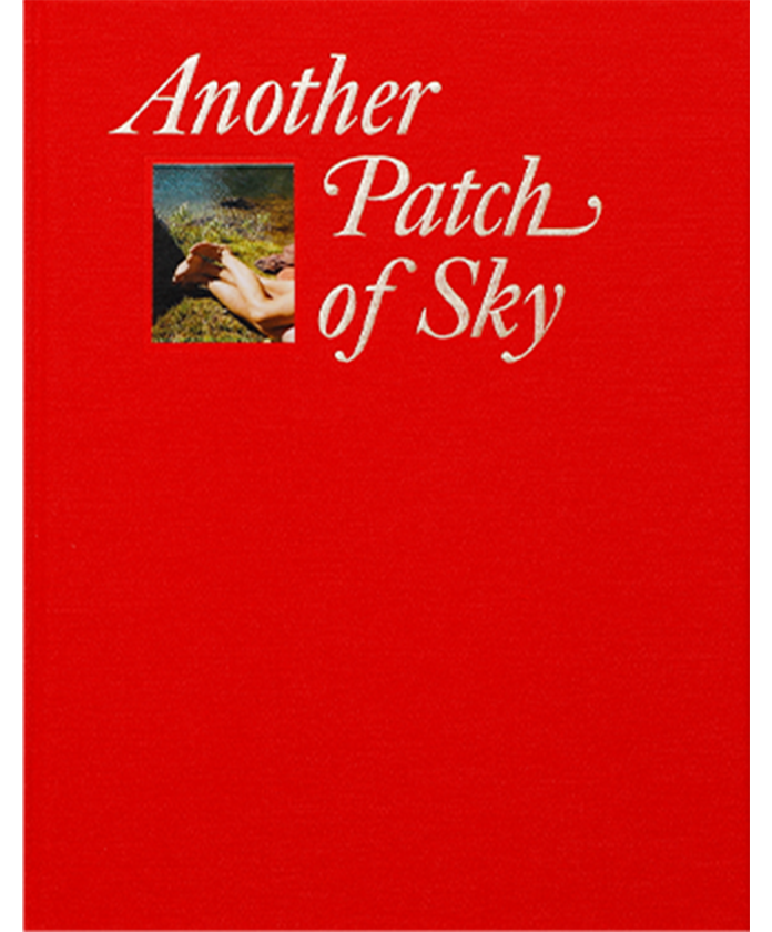 Another Patch of Sky, Brian Chorski