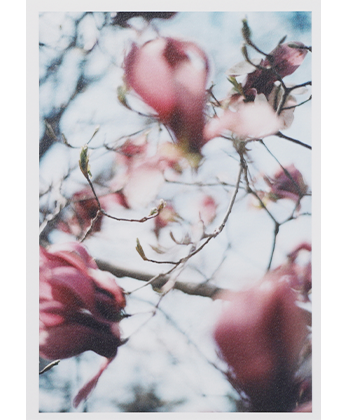 LUMIE&#768;RE Postcard