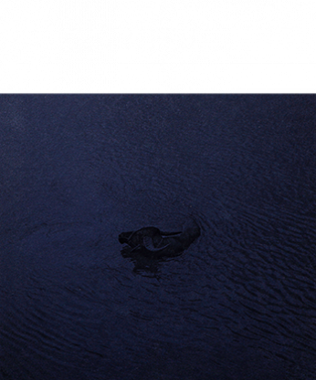 Flood Me, I'll be Here