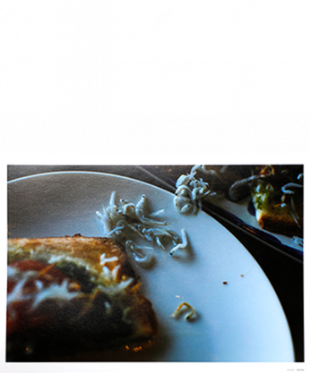 See the Sea ポスター&ポストカードセット：清水裕貴