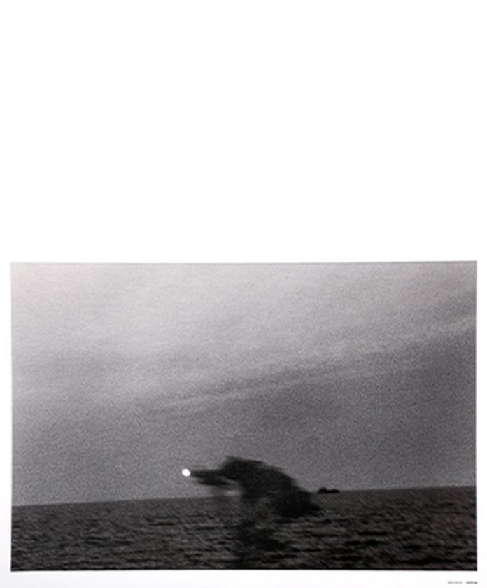 See the Sea ポスター&ポストカードセット：野村佐紀子