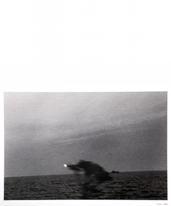 See the Sea ポスター&ポストカードセット：野村佐紀子