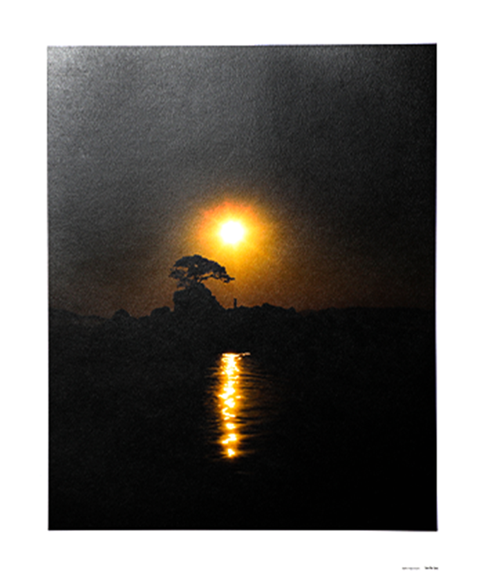 See the Sea ポスター&ポストカードセット：齋藤陽道