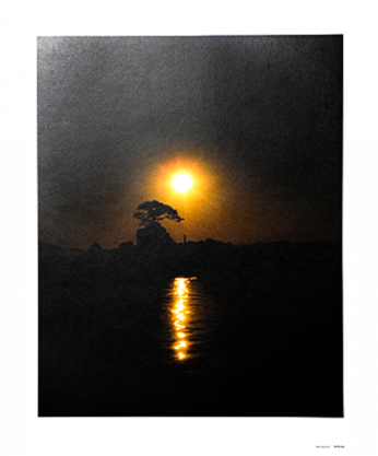 See the Sea ポスター&ポストカードセット：齋藤陽道