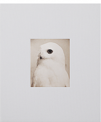 帰路　PHOTO写真集 帰路 PHOTO写真集 presents August 30, 2025