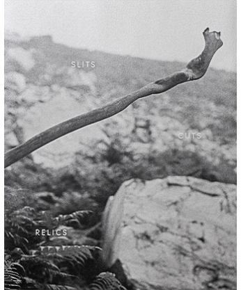 SLITS | CUTS | RELICS