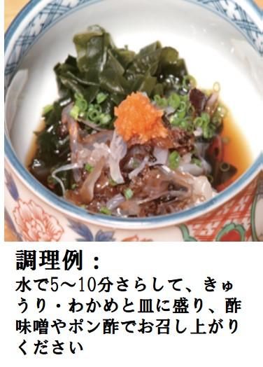 きざみくらげ 生食用 80g入 有明海産 赤クラゲ 食べ切りサイズ 夜明茶屋オンラインショップ きざみくらげ 生食用 80g入 有明海産 赤クラゲ 食べ切りサイズ 夜明茶屋オンラインショップ