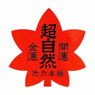<img class='new_mark_img1' src='https://img.shop-pro.jp/img/new/icons5.gif' style='border:none;display:inline;margin:0px;padding:0px;width:auto;' />Ķ ȿͥƥå by HOMETOWN PROJECT