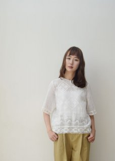 Mesh embroidery blouse