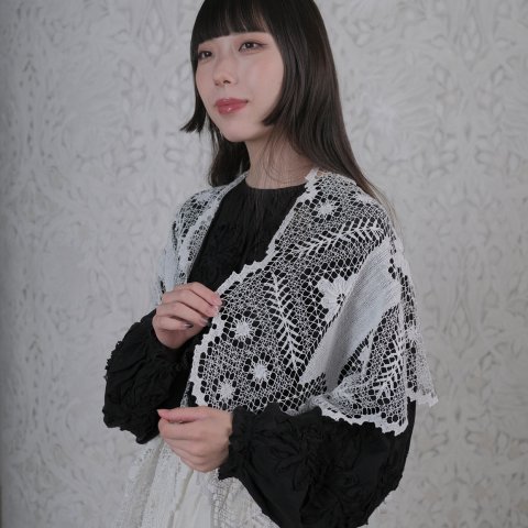 H&#233;riter / tuscany lace bolero