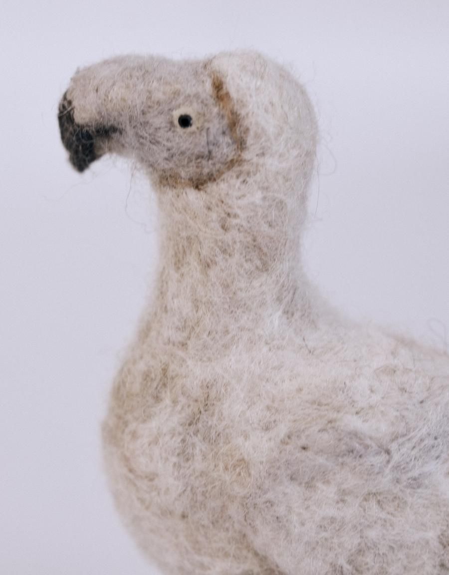 torikomono | とりのなまえ - c a b i n e t O N L I N E S T O R E