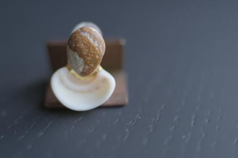 【み松】雨氣 貝繕いピアス他4点 cabinet ONLINE STORE