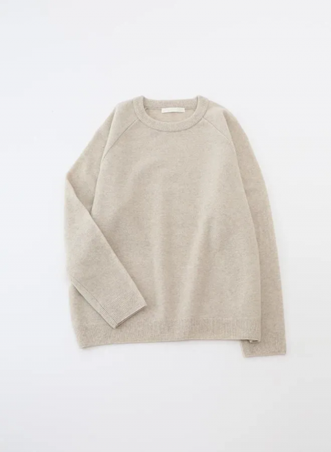<img class='new_mark_img1' src='https://img.shop-pro.jp/img/new/icons14.gif' style='border:none;display:inline;margin:0px;padding:0px;width:auto;' />evam eva / press wool raglan pullover
