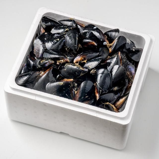 商品検索 - 明神丸かき・ほたてきち