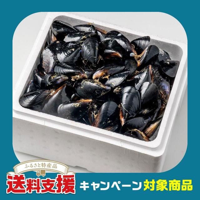 ѻࡼ볭 4kgβǮѡϡ