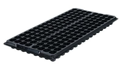 インチタイププラグトレーPS128穴浅型黒 (100枚1セット）TO製
