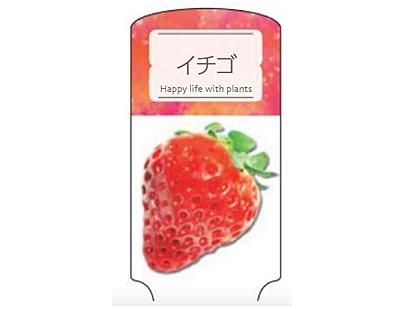 ポット苗用ラベル Ichigo 001 いちご 2型 京和グリーンの園芸資材ショップ ポット苗用ラベル Ichigo 001 いちご 2型 京和グリーンの園芸資材ショップ