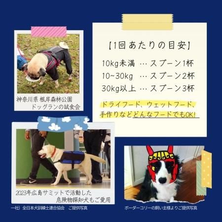〈犬用〉ドッグエリクサー犬用健康ふりかけ2箱 ペレグレイス PELE'S GRACE ドッグエリクサー (犬用サプリメント
