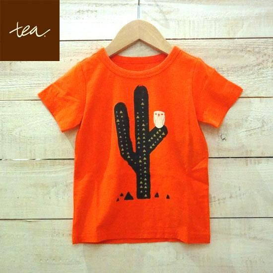Tea ティー Tシャツ サボテン 子供服 Tシャツ オレンジ 日本総輸入代理店より入荷 Hammock 子供服セレクトショップ Tea ティー Tシャツ サボテン 子供服 Tシャツ オレンジ 日本総輸入代理店より入荷 Hammock 子供服セレクトショップ