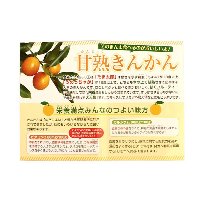 宮崎県日南産 最高級宮崎完熟きんかん キンカン たま太郎 2l 1kg カンキツ農園 季節限定 糖度18度以上 金柑 たまたろう 日南 みかん デザート たまたま エクセレント 甘露煮 はちみつ ジャム マドレーヌ チーズケーキ サラダ ジュース 焼酎 お酒 ネットショップ 通販 お