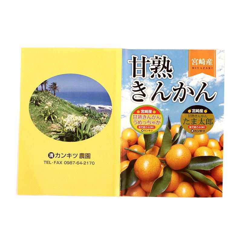 宮崎県日南産 最高級宮崎完熟きんかん キンカン たま太郎 2l 1kg カンキツ農園 季節限定 糖度18度以上 金柑 たまたろう 日南 みかん デザート たまたま エクセレント 甘露煮 はちみつ ジャム マドレーヌ チーズケーキ サラダ ジュース 焼酎 お酒 ネットショップ 通販 お