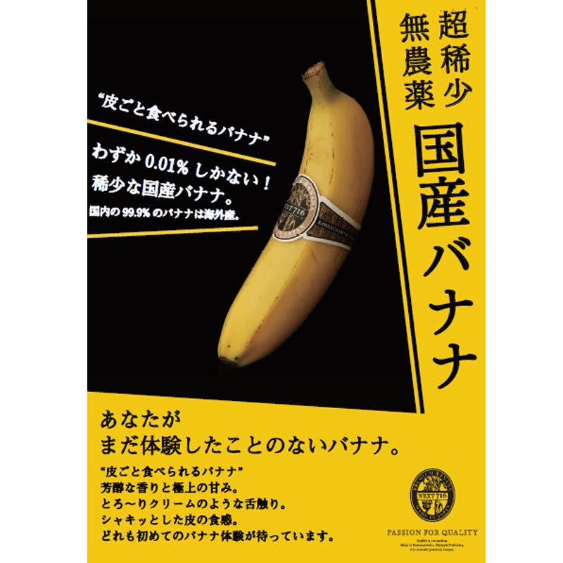 宮崎産地直送 宮崎県産皮ごとバナナジャム 1点 宮崎県産バナナカレー 2点 詰め合わせセット Next716 ネクストファーム Miyazaki Food Award 審査員賞受賞 高級 希少 川南町 国産 カレー ジャム バナナ ばなな ジュース シェイク プレミアム フルーツ 果物 青果