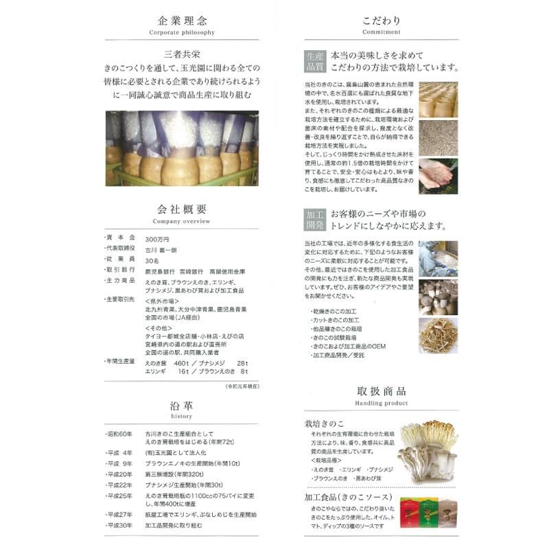 市場 えのき茸 100ｇ×2袋 九州産 エノキ