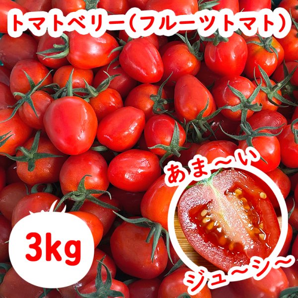 【宮崎産地直送】トマトベリー(フルーツトマト)1箱 3kg 日本ヤノファーム 期間限定
