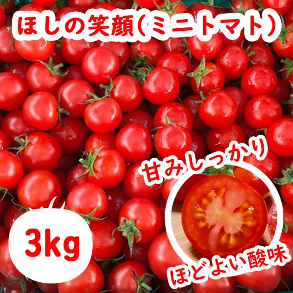 【宮崎産地直送】ほしの笑顔(ミニトマト)1箱 3kg 日本ヤノファーム 期間限定
