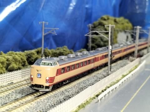 ＪＲ西日本４８５系０・１００・２００番台『Ｌ特急/雷鳥』向日町運転 