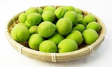 青森県産　青梅 15キロ 青森県産 青梅 15キロ 楽天市場】青梅 青森の通販