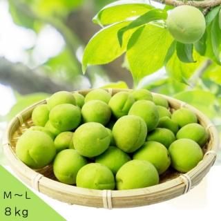 青梅小梅5kg、広島県産、家庭用、産地直送、農薬不使用の通販 by