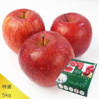 （常温）青森県りんご「サンふじ」[特選]約5kg(13〜18玉入)※発送は11月下旬前後からの予定です