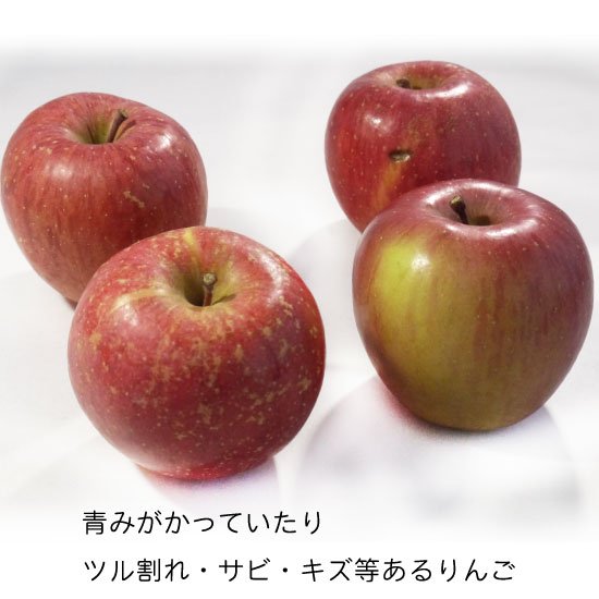 ふじりんご　青森県産　32〜40玉　10kg   林檎