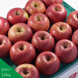 （常温）青森県産りんご・サンふじ【家庭用】10kg (32〜40玉入り)※発送は11月下旬前後からの予定です